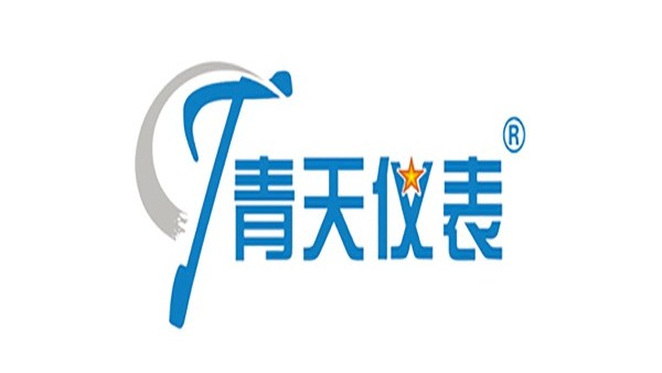 青天仪表——乐动网页版登录入口出口销量第一的制造商  20年120国  验证高可靠